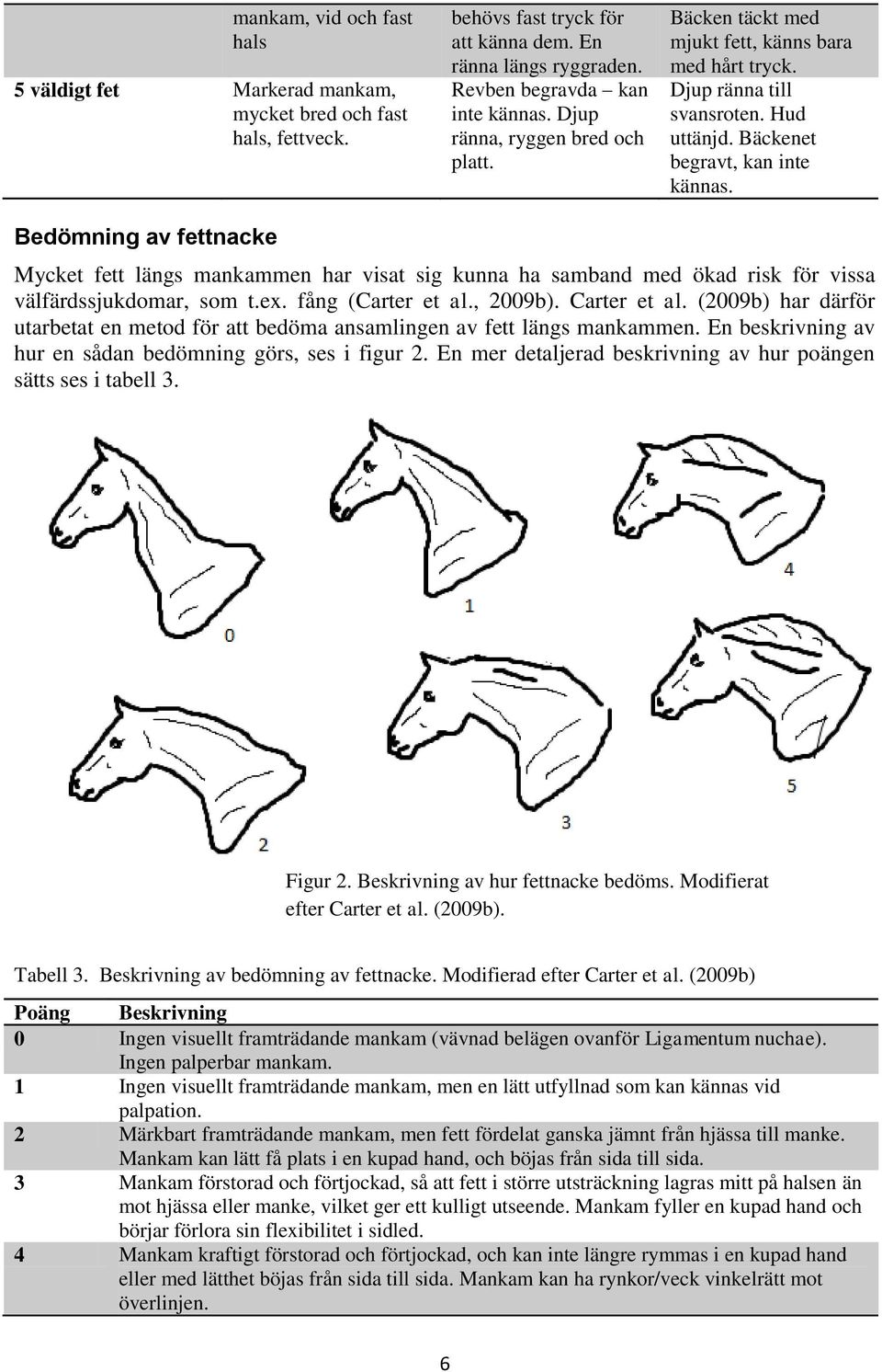 Bedömning av fettnacke Mycket fett längs mankammen har visat sig kunna ha samband med ökad risk för vissa välfärdssjukdomar, som t.ex. fång (Carter et al., 2009b). Carter et al.