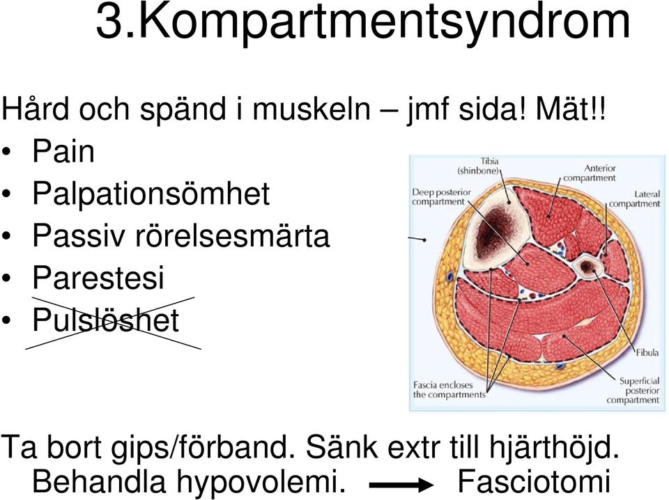 ! Pain Palpationsömhet Passiv rörelsesmärta