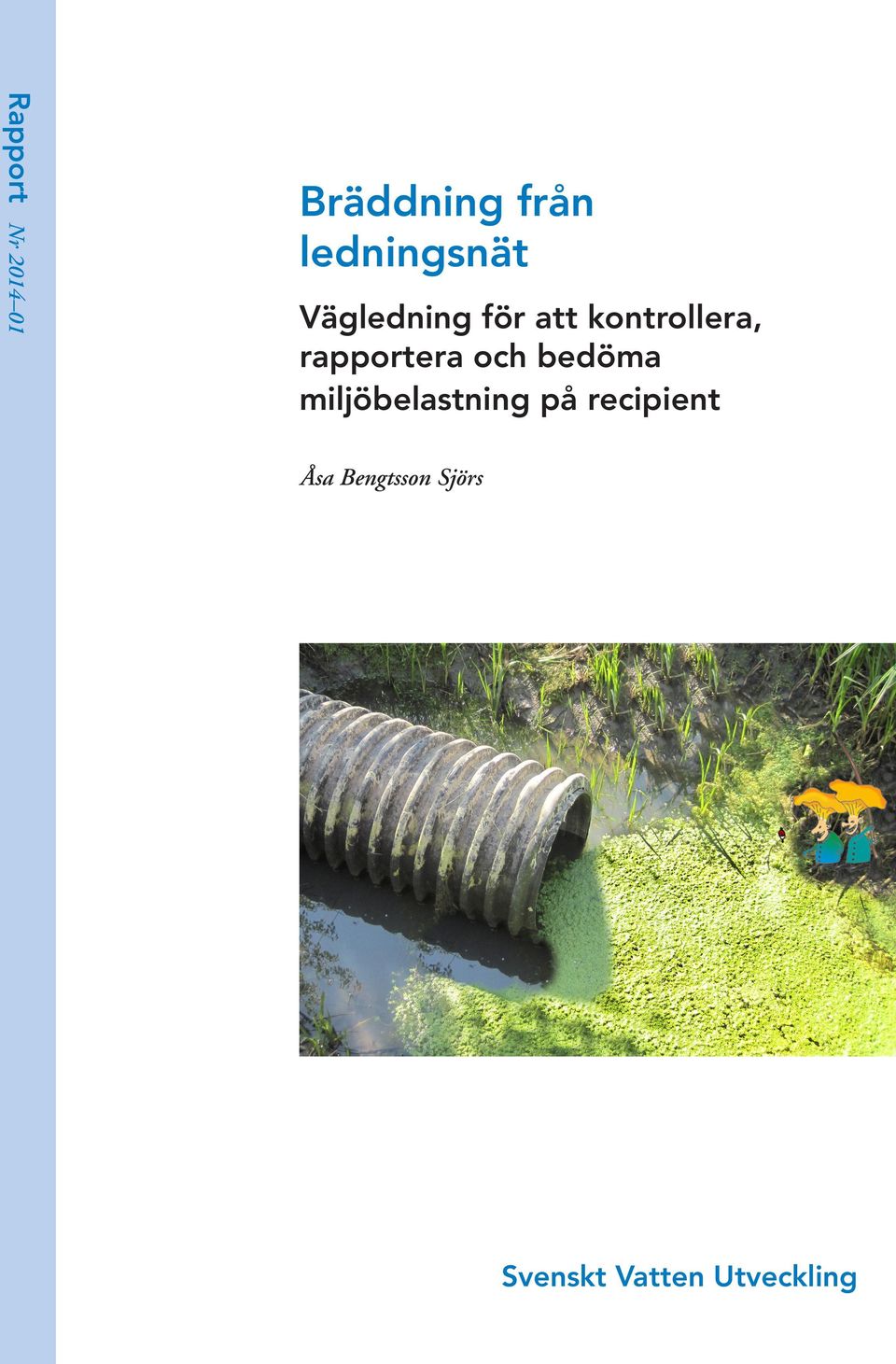 rapportera och bedöma miljöbelastning på