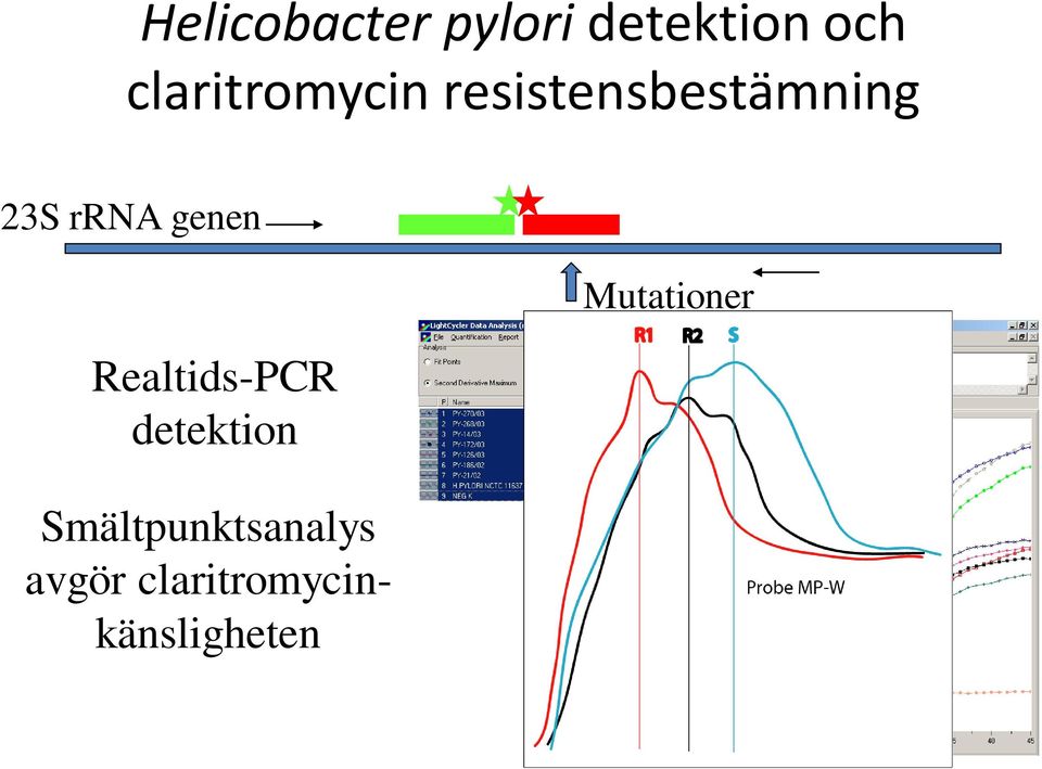 rrna genen Realtids-PCR detektion