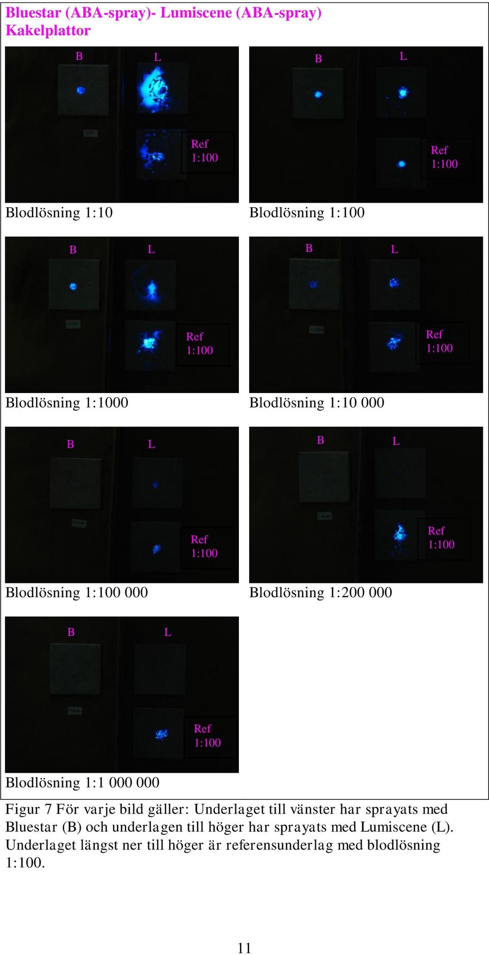 000 B L Ref 1:100 Blodlösning 1:1 000 000 Figur 7 För varje bild gäller: Underlaget till vänster har sprayats med Bluestar (B)