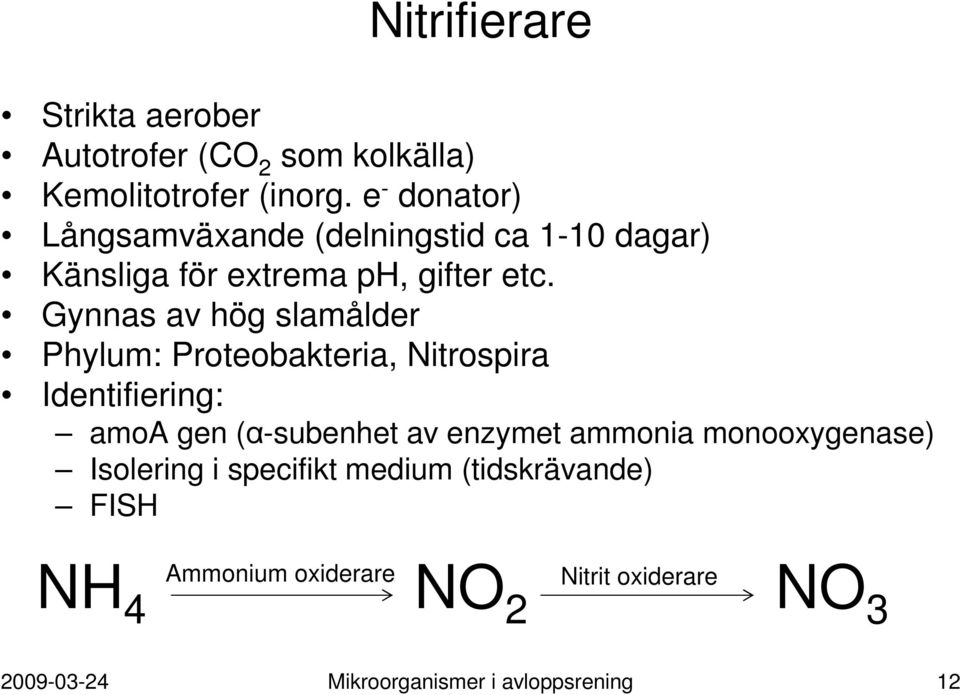 Gynnas av hög slamålder Phylum: Proteobakteria, Nitrospira Identifiering: amoa gen (α-subenhet av enzymet