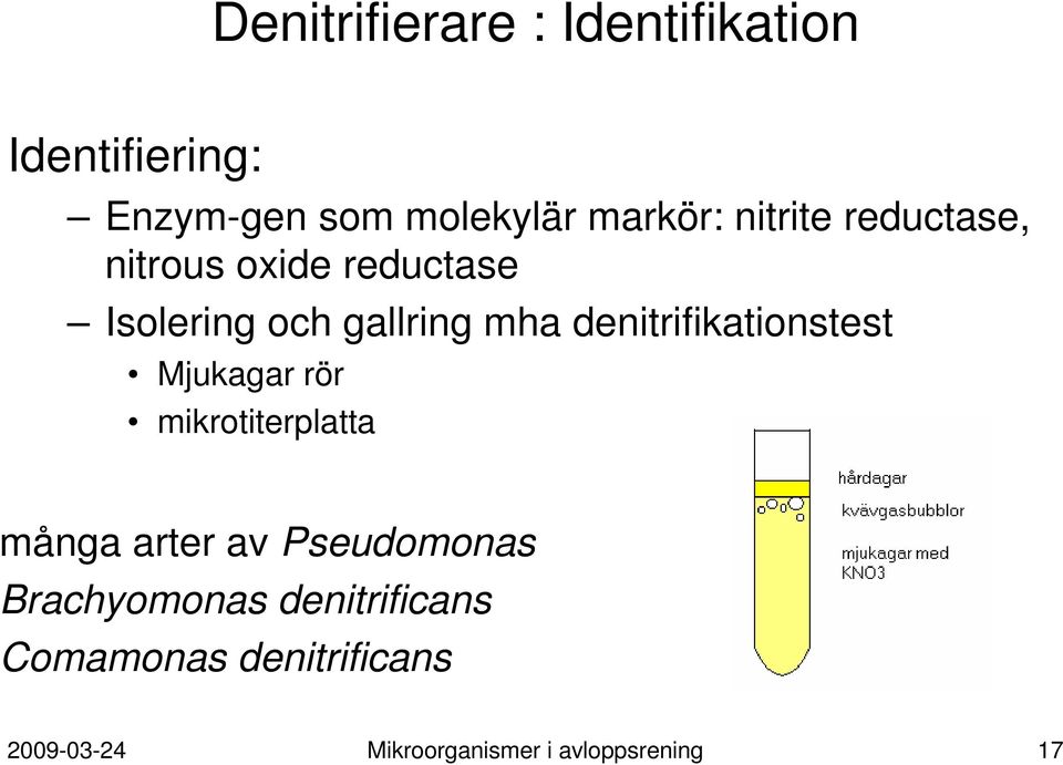 denitrifikationstest Mjukagar rör mikrotiterplatta många arter av Pseudomonas