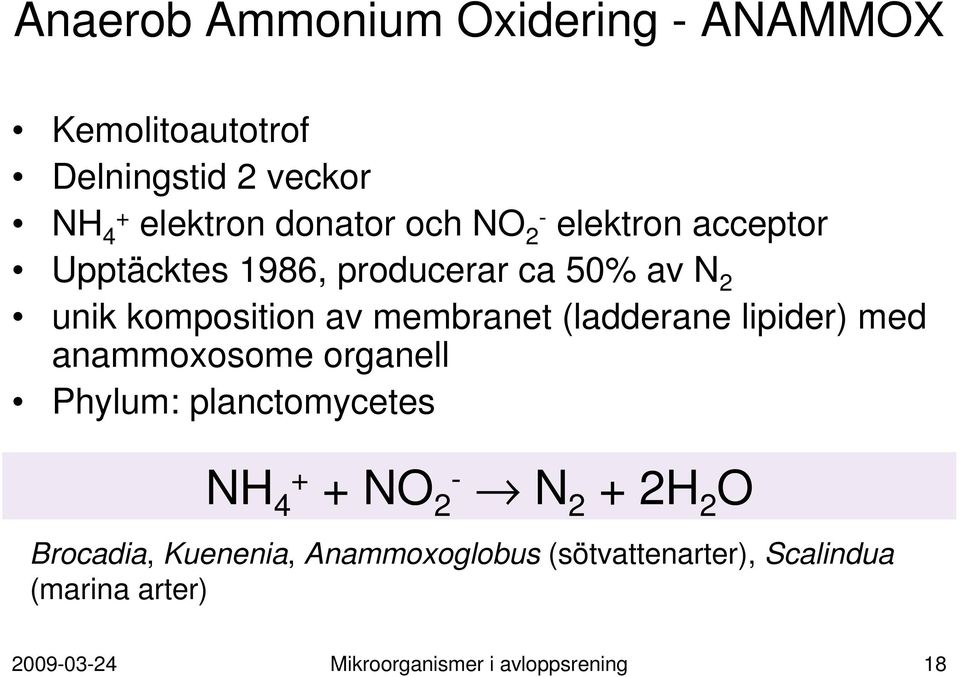 lipider) med anammoxosome organell Phylum: planctomycetes NH 4+ + NO 2- N 2 + 2H 2 O Brocadia, Kuenenia,