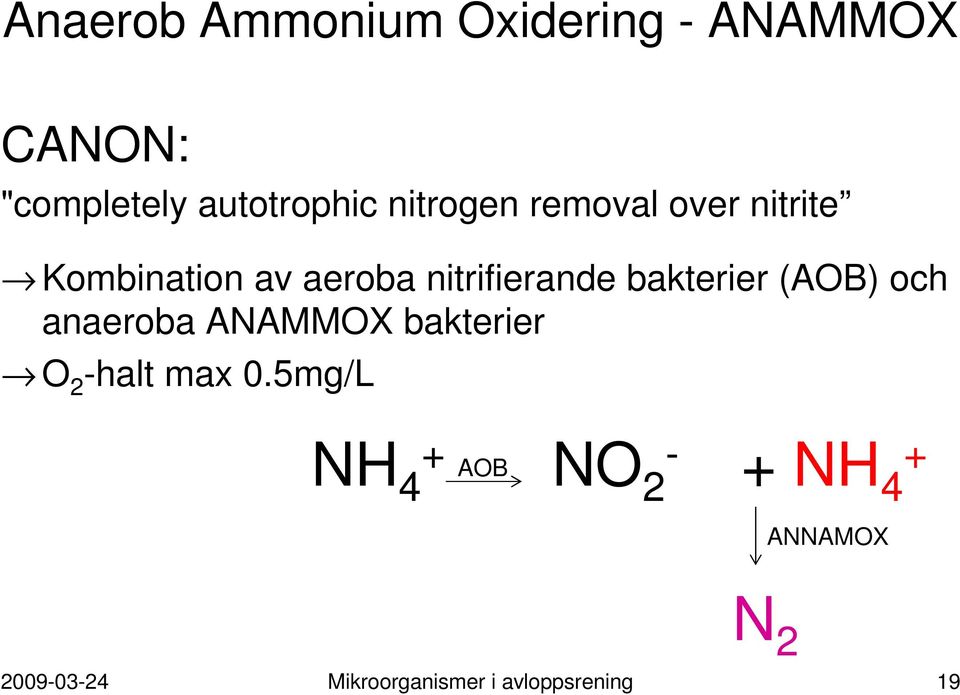 bakterier (AOB) och anaeroba ANAMMOX bakterier O 2 -halt max 0.