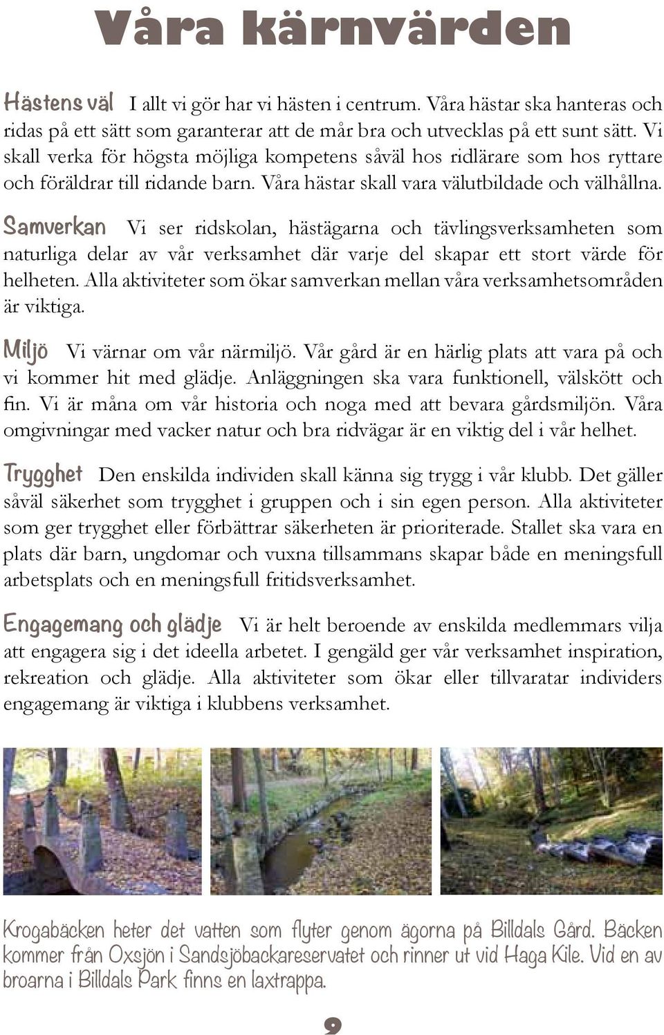 Samverkan Vi ser ridskolan, hästägarna och tävlingsverksamheten som naturliga delar av vår verksamhet där varje del skapar ett stort värde för helheten.