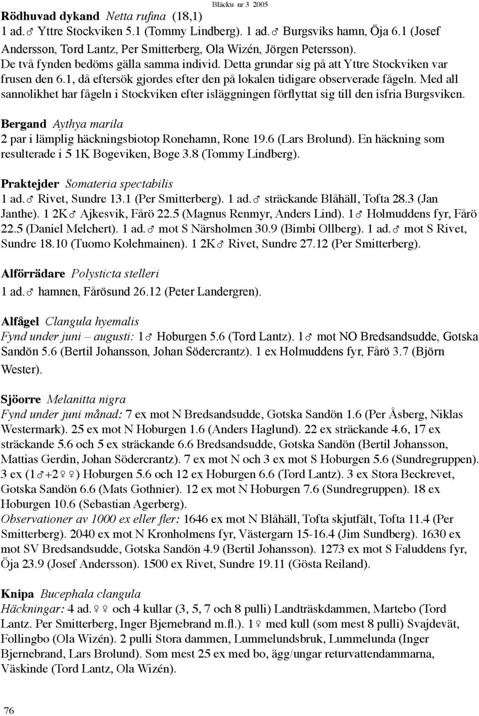 Med all sannolikhet har fågeln i Stockviken efter isläggningen förflyttat sig till den isfria Burgsviken. Bergand Aythya marila 2 par i lämplig häckningsbiotop Ronehamn, Rone 19.6 (Lars Brolund).