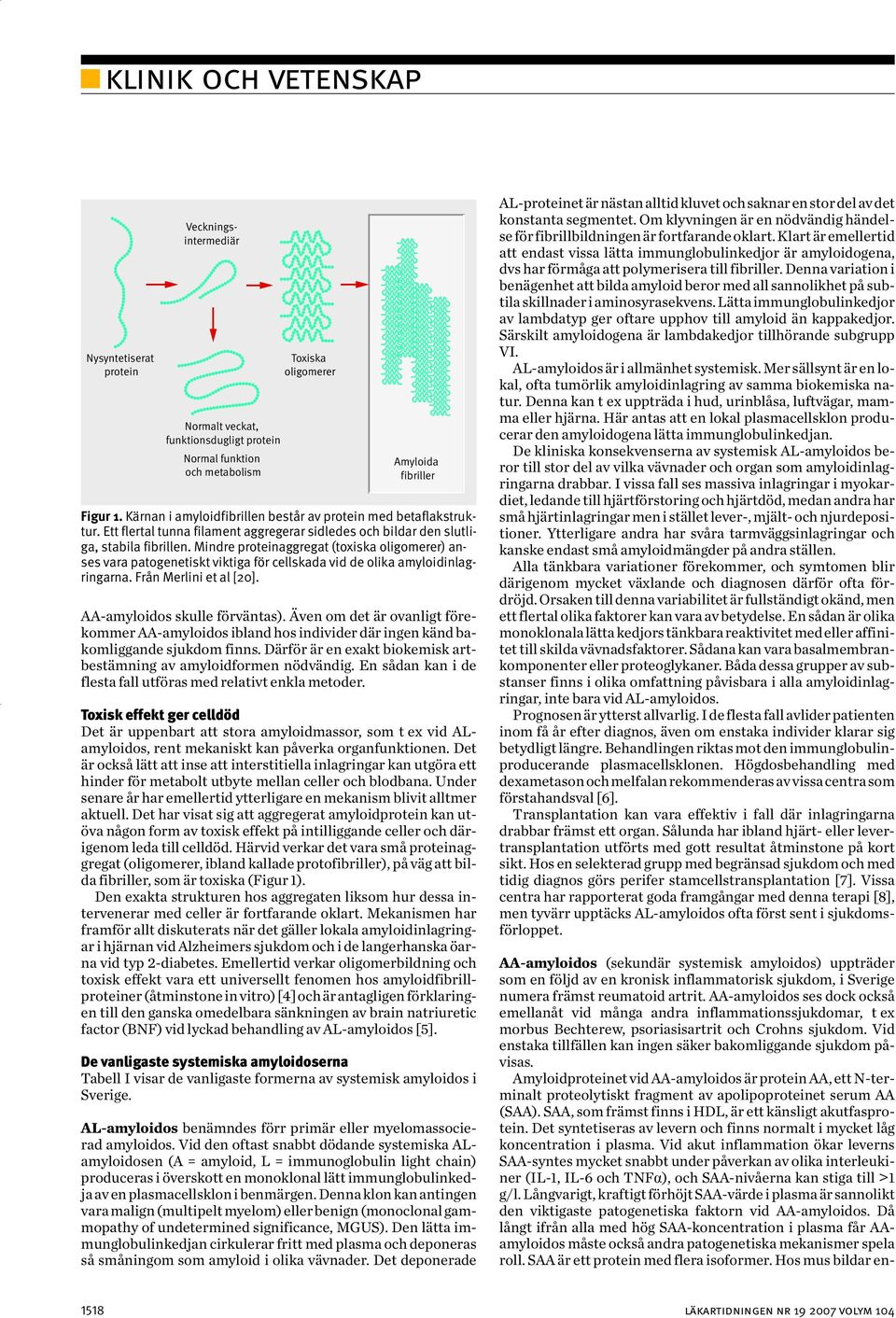 Vid enstaka tillfällen kan ingen säker bakomliggande sjukdom påvisas. Amyloidproteinet vid AA-amyloidos är protein AA, ett N-terminalt proteolytiskt fragment av apolipoproteinet serum AA (SAA).