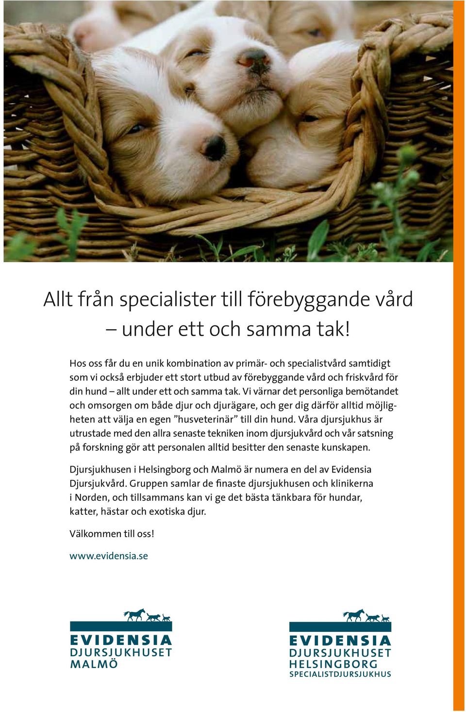 Vi värnar det personliga bemötandet och omsorgen om både djur och djurägare, och ger dig därför alltid möjligheten att välja en egen husveterinär till din hund.