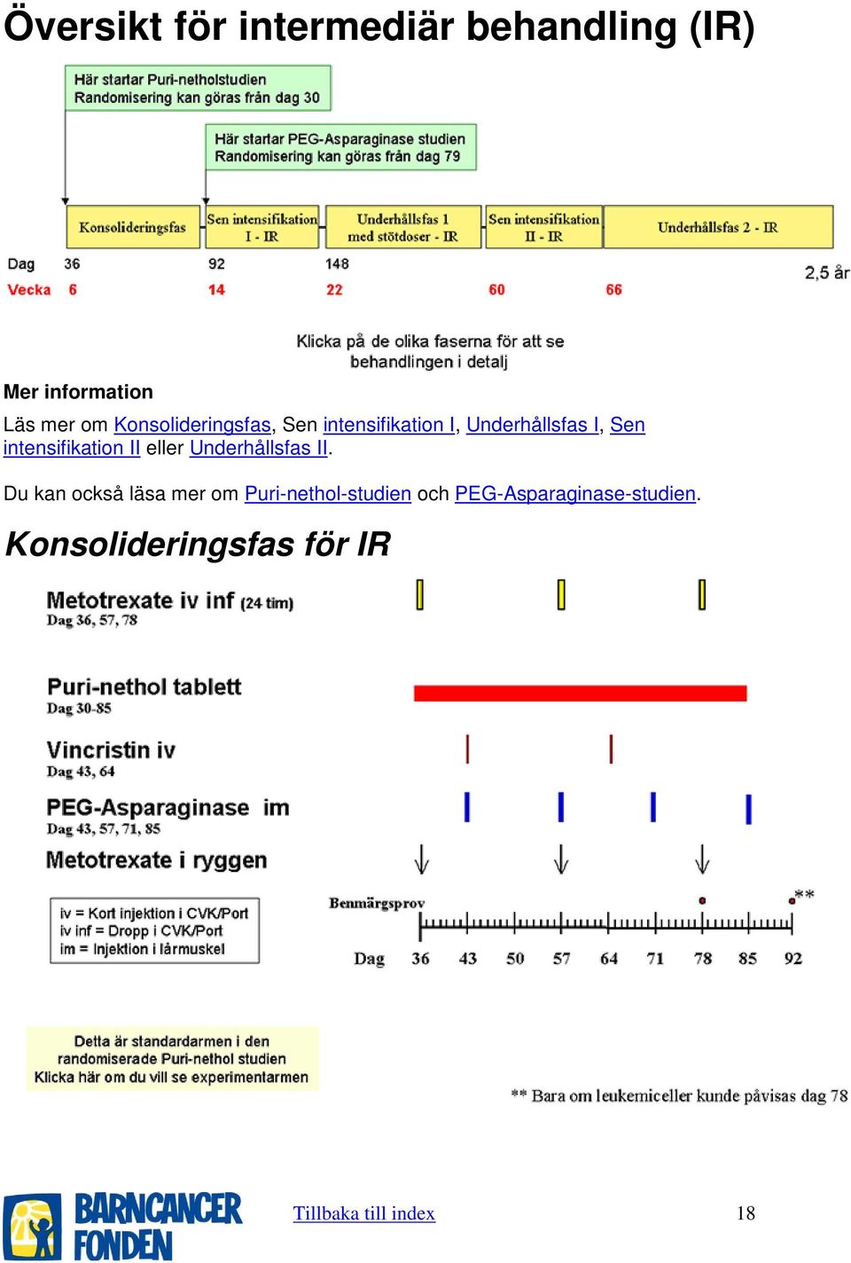 intensifikation II eller Underhållsfas II.