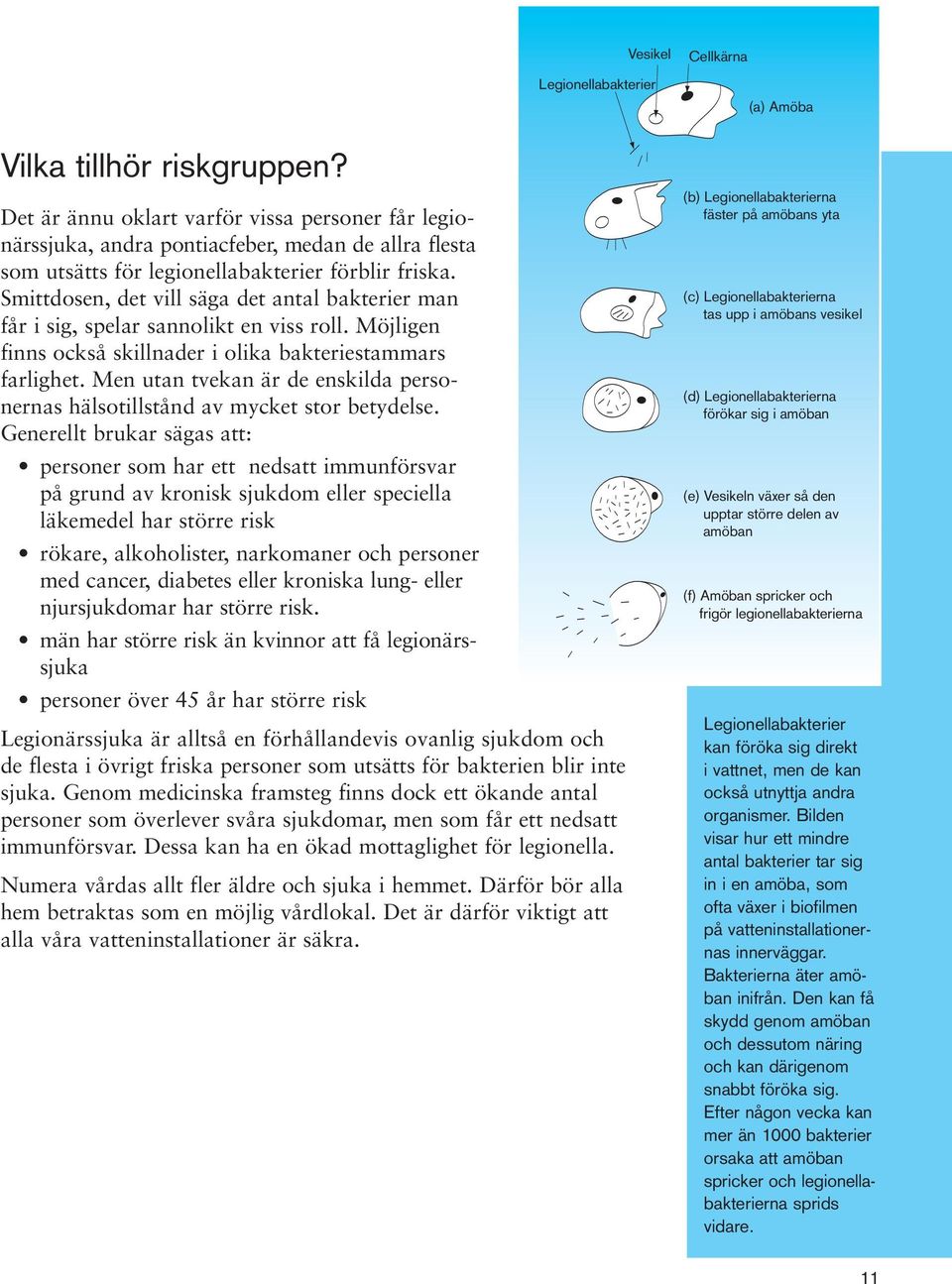 Smittdosen, det vill säga det antal bakterier man får i sig, spelar sannolikt en viss roll. Möjligen finns också skillnader i olika bakteriestammars farlighet.