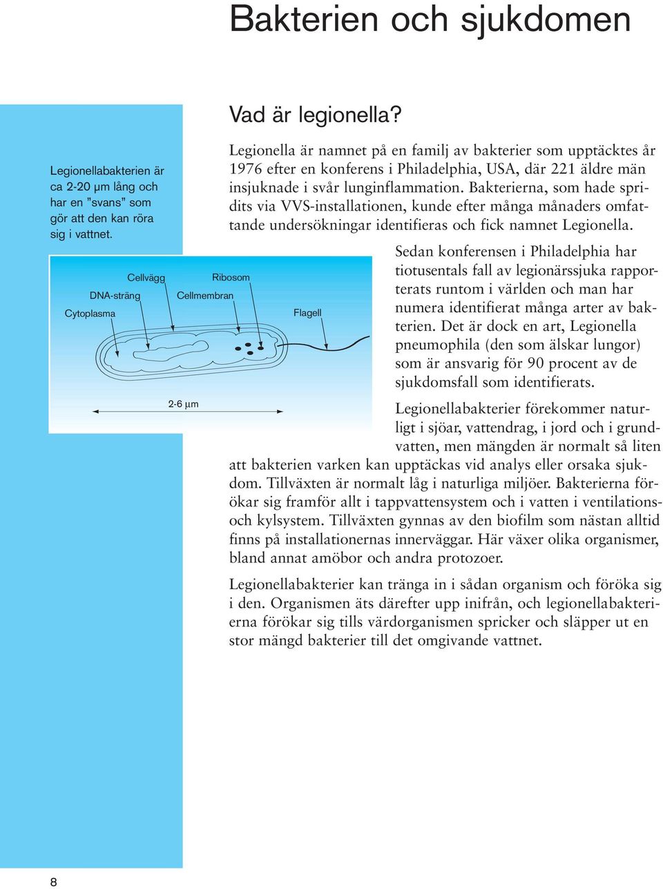 Bakterierna, som hade spridits via VVS-installationen, kunde efter många månaders omfattande undersökningar identifieras och fick namnet Legionella.