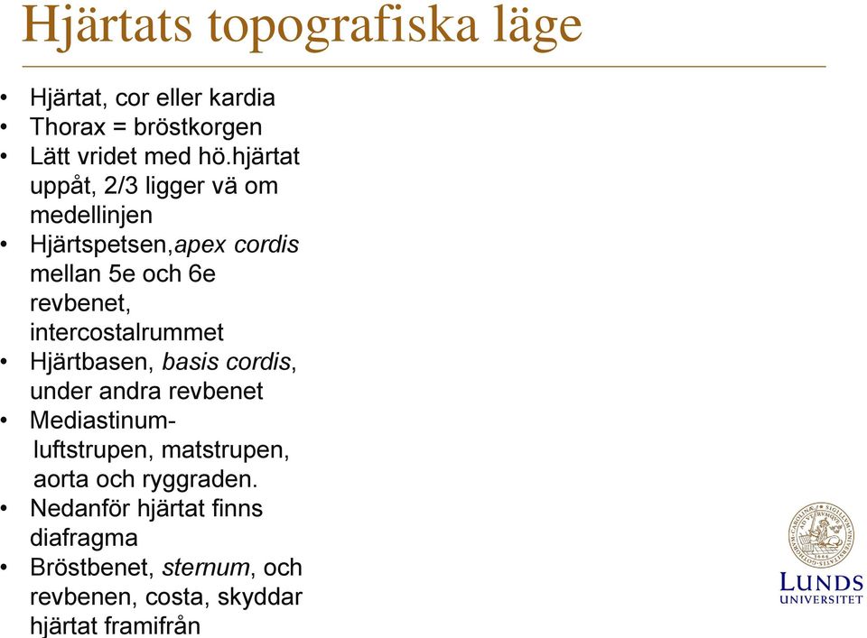 intercostalrummet Hjärtbasen, basis cordis, under andra revbenet Mediastinumluftstrupen, matstrupen,