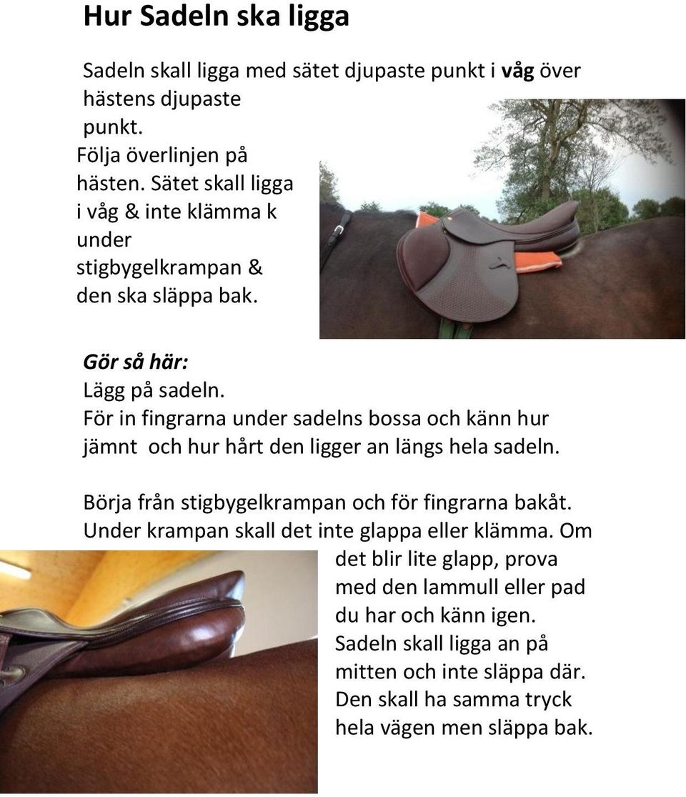 För in fingrarna under sadelns bossa och känn hur jämnt och hur hårt den ligger an längs hela sadeln. Börja från stigbygelkrampan och för fingrarna bakåt.