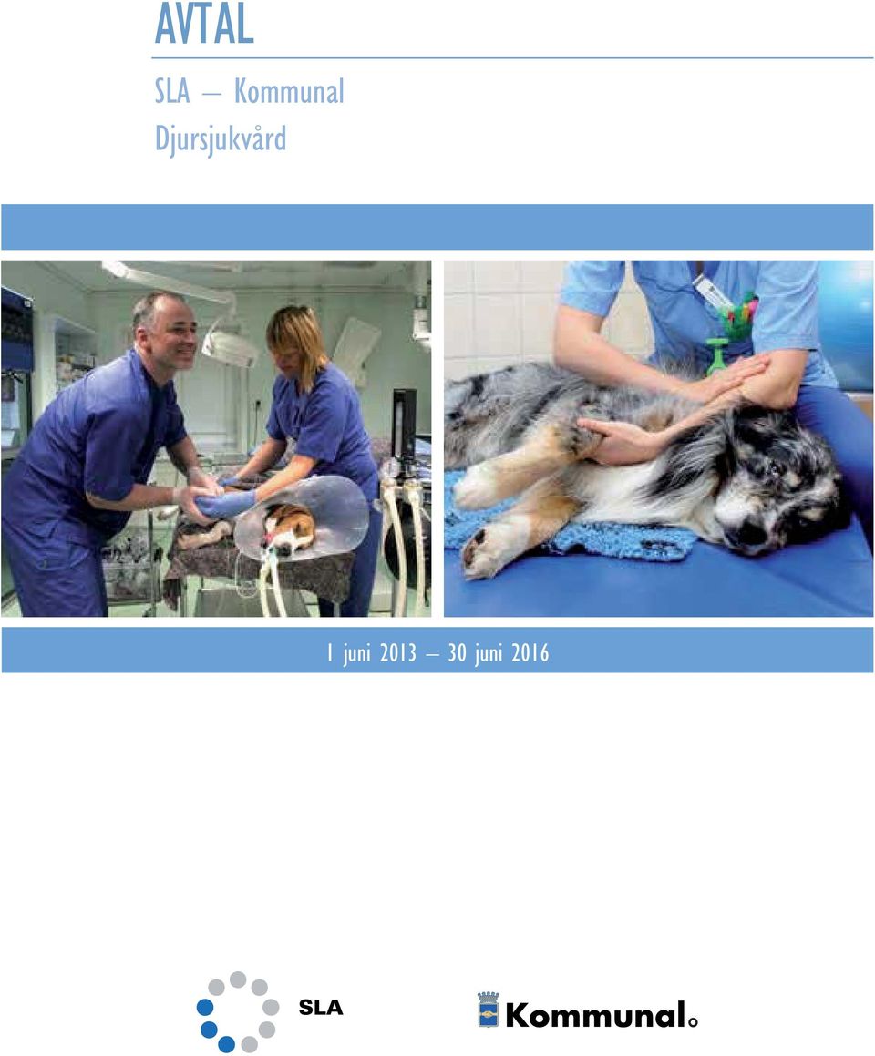 Djursjukvård