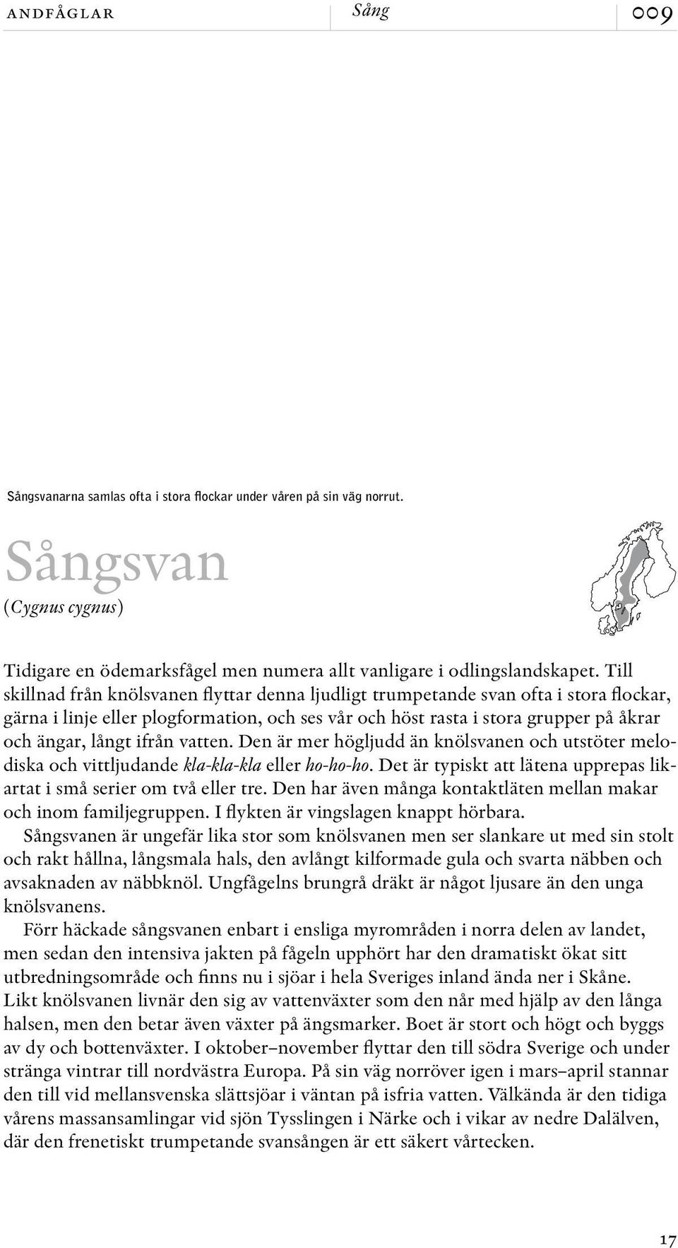 ifrån vatten. Den är mer högljudd än knöl svanen och utstöter melodiska och vittljudande kla-kla-kla eller ho-ho-ho. Det är typiskt att lätena upprepas likartat i små serier om två eller tre.