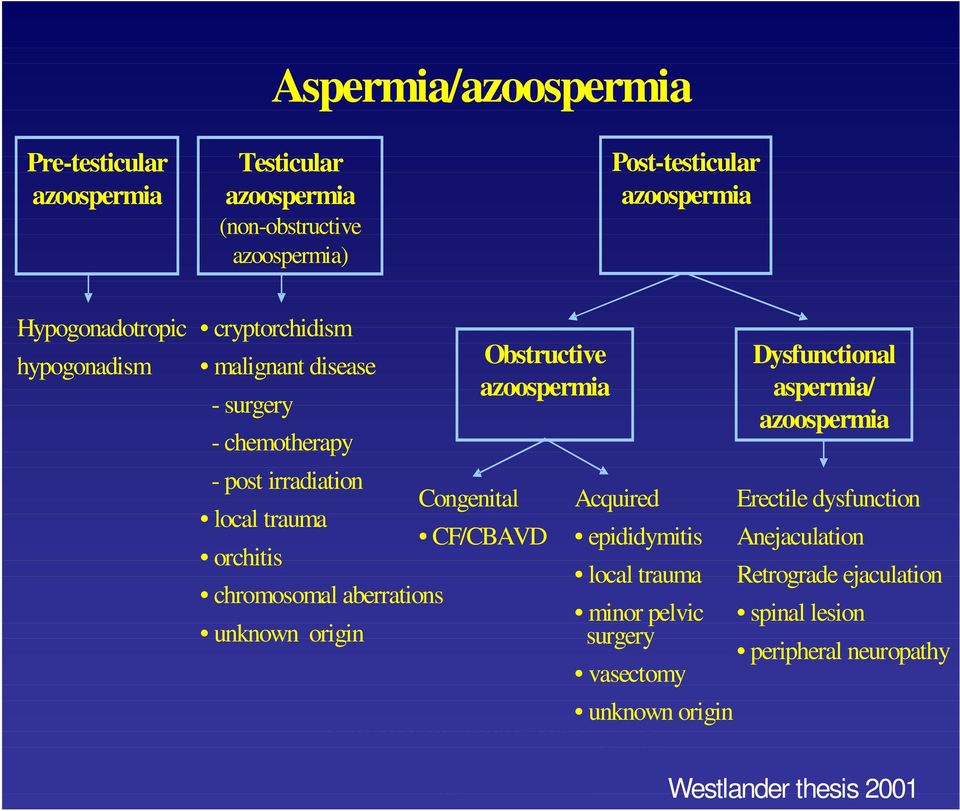 orchitis chromosomal aberrations unknown origin Obstructive azoospermia Dysfunctional aspermia/ azoospermia Acquired Erectile dysfunction