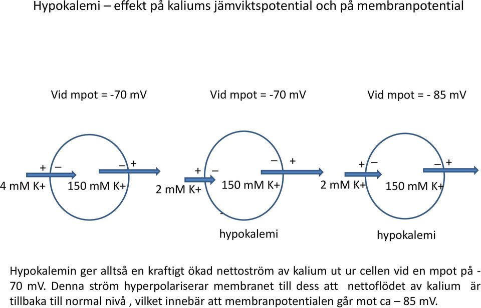 alltså en kraftigt ökad nettoström av kalium ut ur cellen vid en mpot på - 70 mv.