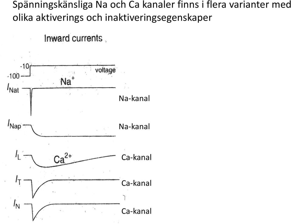 aktiverings och