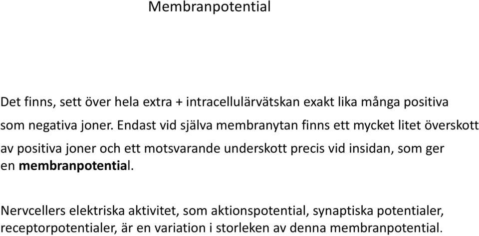 Endast vid själva membranytan finns ett mycket litet överskott av positiva joner och ett motsvarande