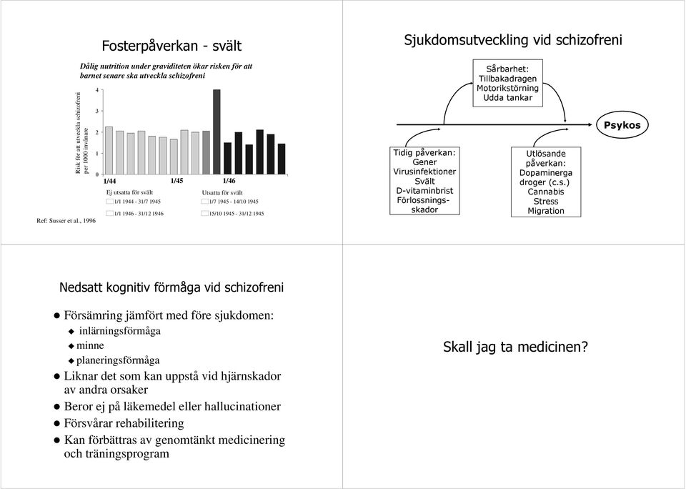 1944-31/7 1945 1/1 1946-31/12 1946 Utsatta för svält 1/7 1945-14/10 1945 15/10 1945-31/12 1945 Tidig påverkan: Gener Virusinfektioner Svält D-vitaminbrist Förlossningsskador Sårbarhet: Tillbakadragen