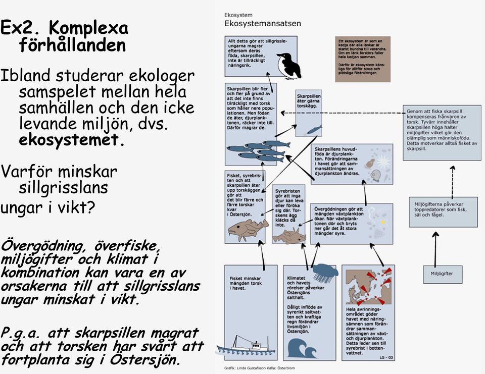 Övergödning, överfiske, miljögifter och klimat i kombination kan vara en av orsakerna till att