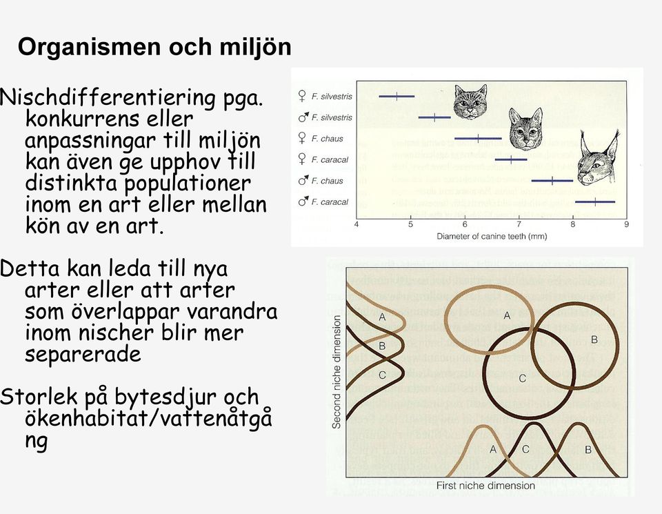 populationer inom en art eller mellan kön av en art.