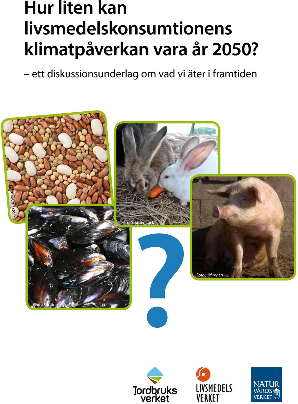 ett diskussionsunderlag om vad vi äter i