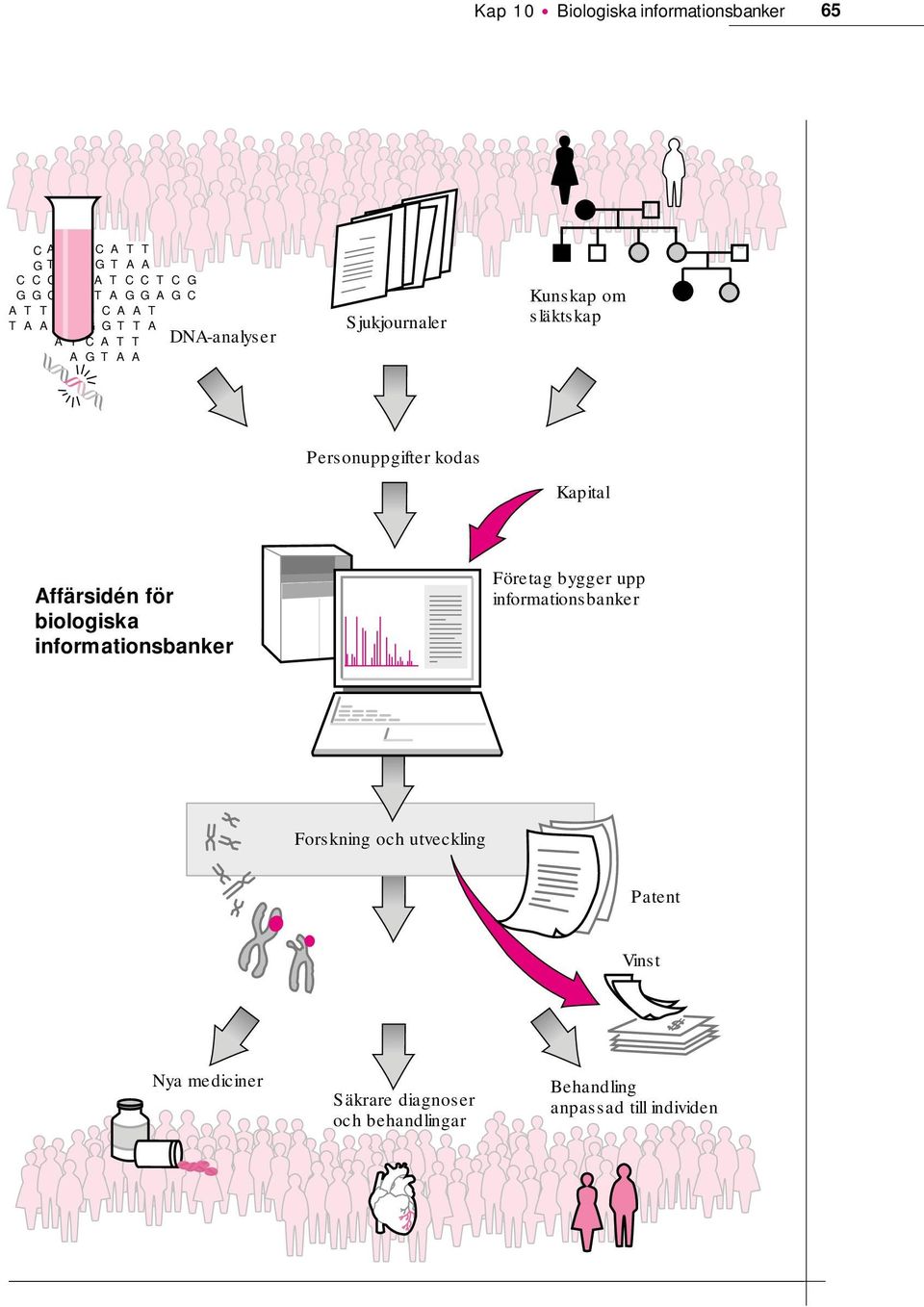 Personuppgifter kodas Kapital Affärsidén för biologiska informationsbanker Företag bygger upp informationsbanker