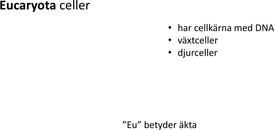 DNA växtceller