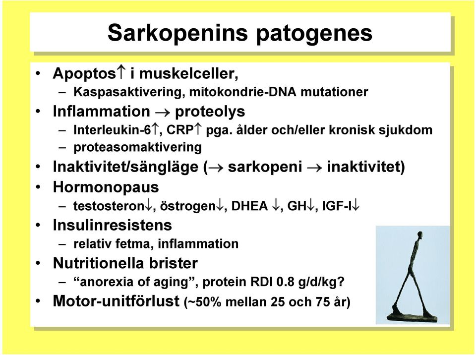 pga. ålder och/eller kronisk sjukdom proteasomaktivering Inaktivitet/sängläge ( sarkopeni inaktivitet) Hormonopaus