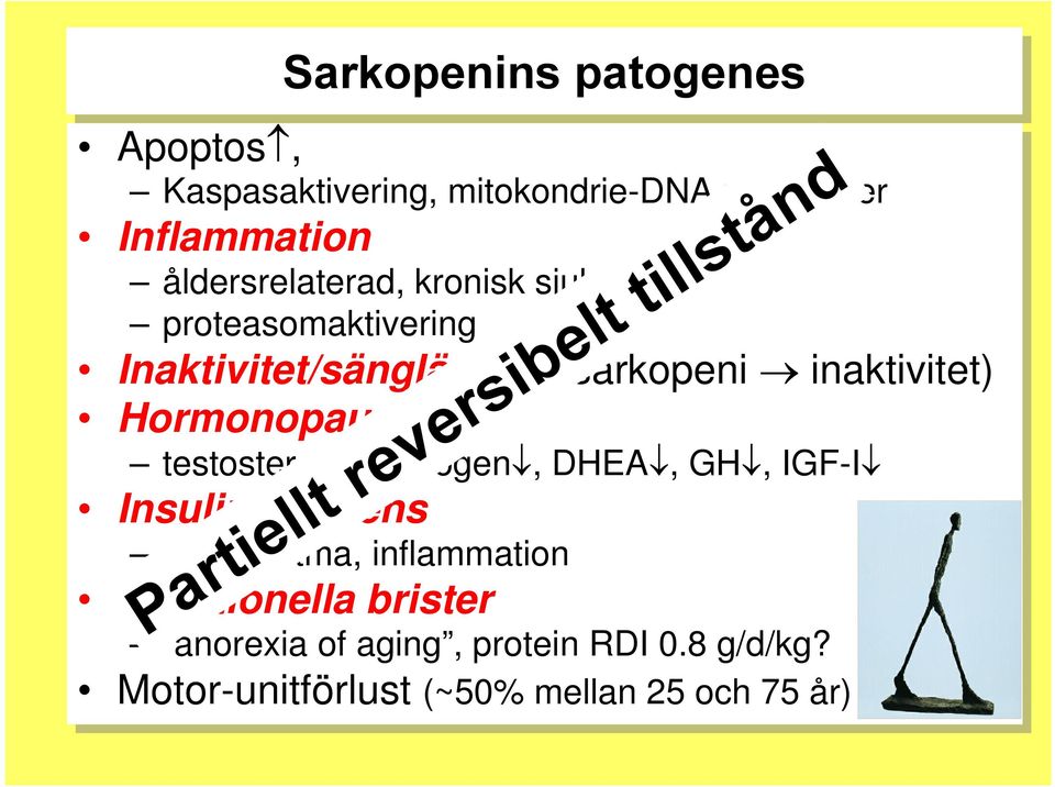 GH, IGF-I Insulinresistens Sarkopenins patogenes relativ fetma, inflammation Nutritionella brister Partiellt