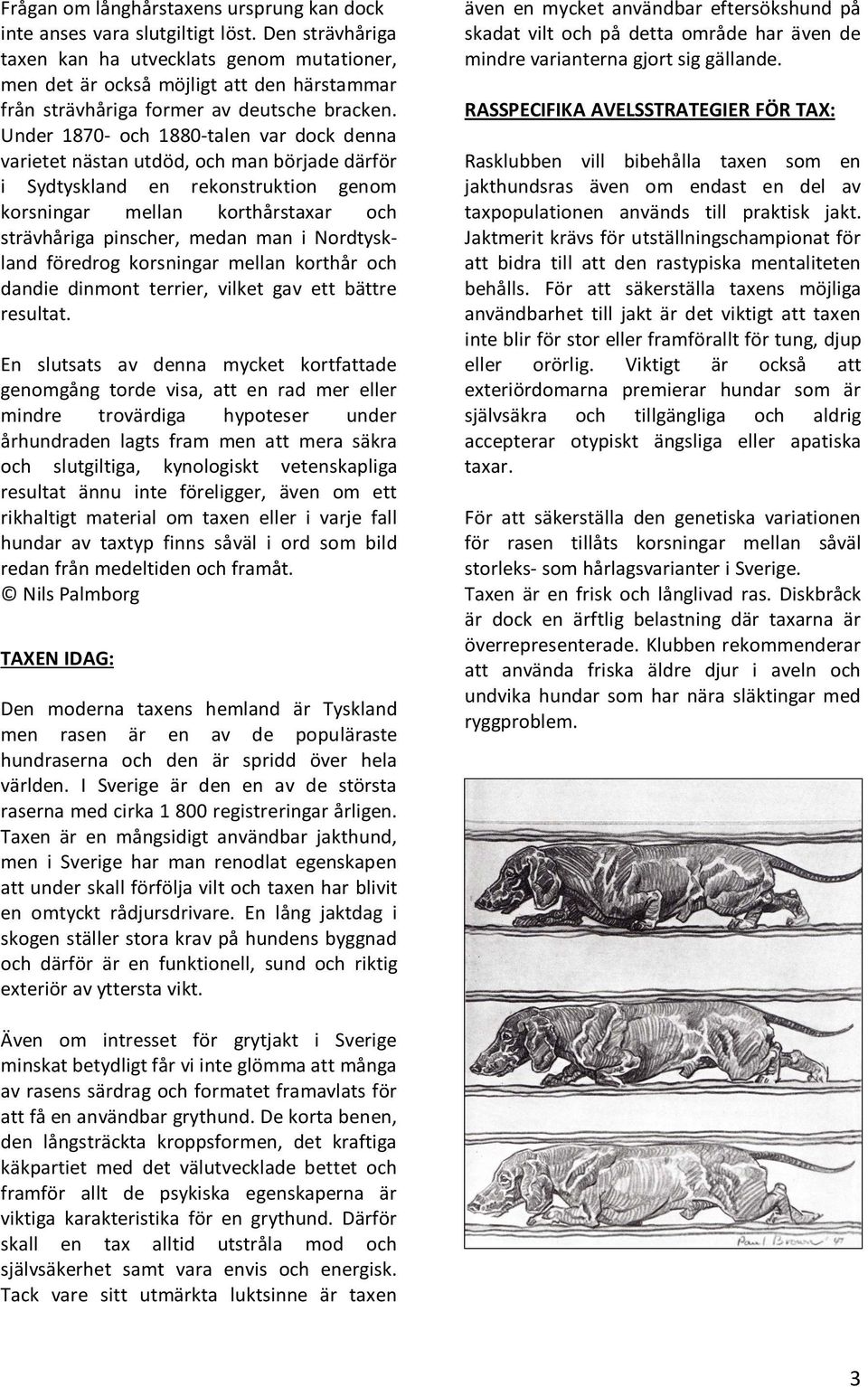 Under 1870- och 1880-talen var dock denna varietet nästan utdöd, och man började därför i Sydtyskland en rekonstruktion genom korsningar mellan korthårstaxar och strävhåriga pinscher, medan man i