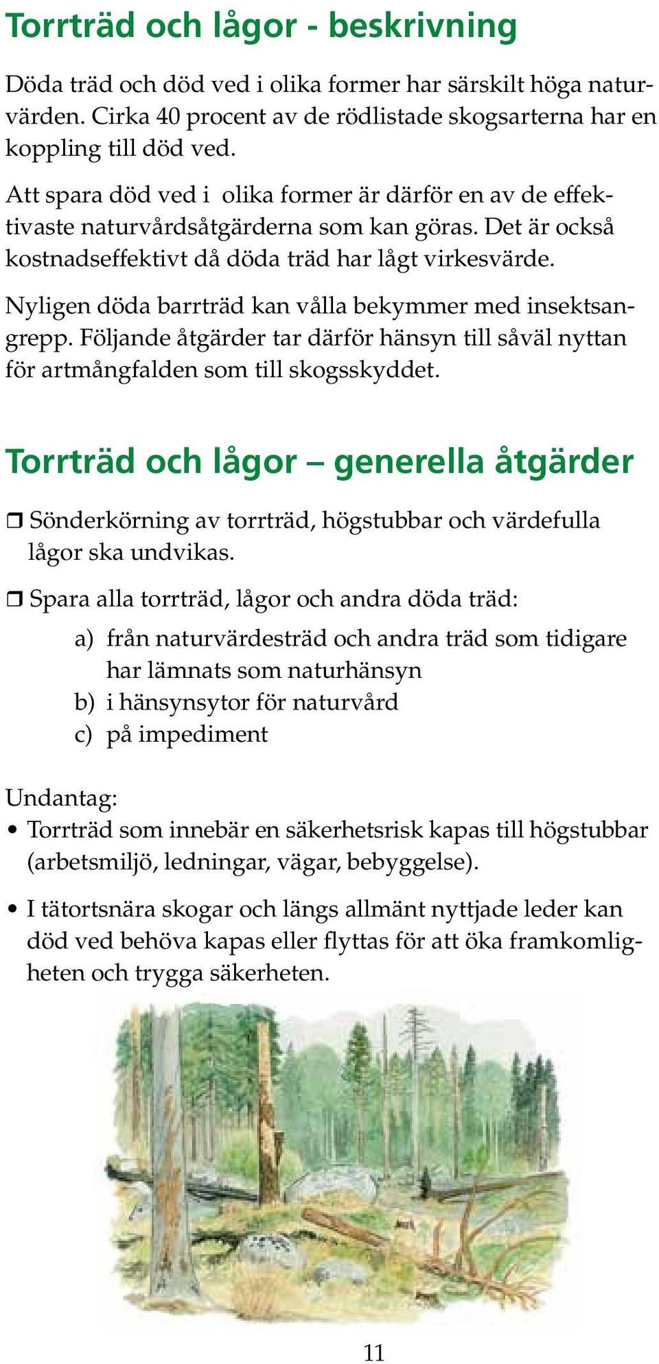 Nyligen döda barrträd kan vålla bekymmer med insektsangrepp. Följande åtgärder tar därför hänsyn till såväl nyttan för artmångfalden som till skogsskyddet.