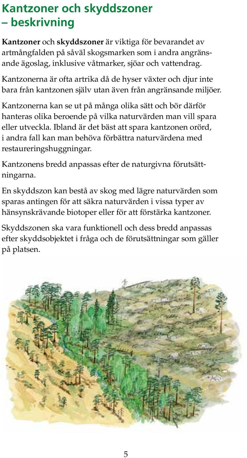 Kantzonerna kan se ut på många olika sätt och bör därför hanteras olika beroende på vilka naturvärden man vill spara eller utveckla.