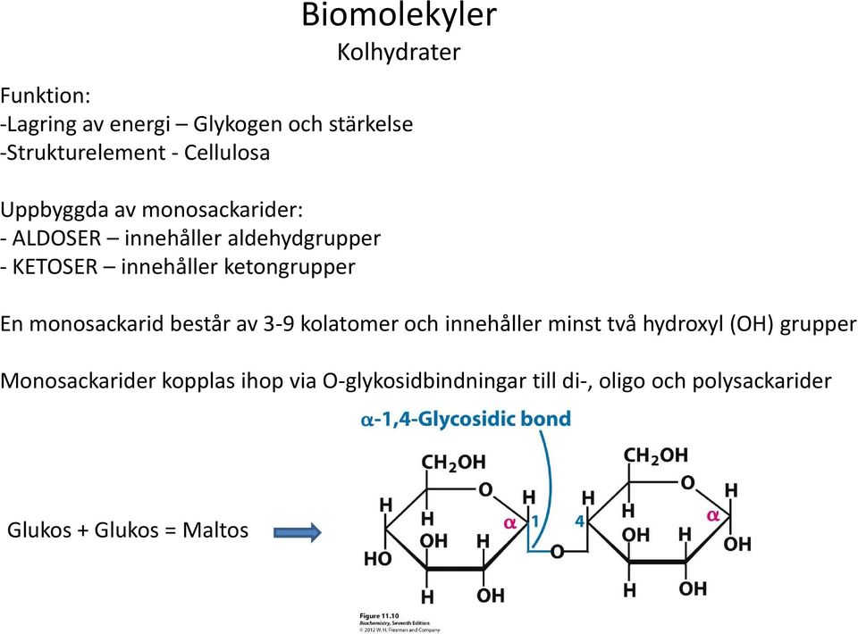 ketongrupper En monosackarid består av 3-9 kolatomer och innehåller minst två hydroxyl (OH) grupper