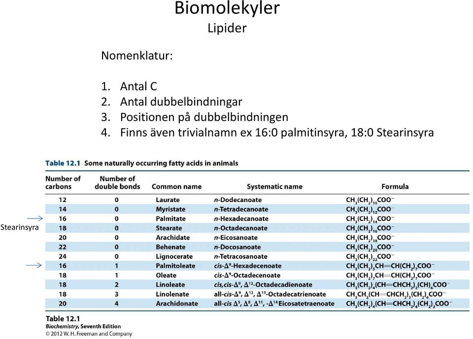 Positionen på dubbelbindningen 4.