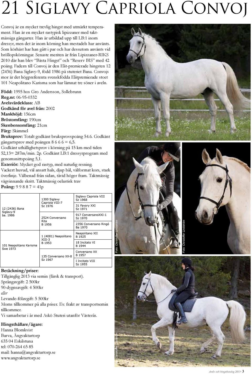 Senaste meriten är från Lipizzaner-RIKS 2010 där han blev Bästa Hingst och Reserv BIS med 42 poäng.