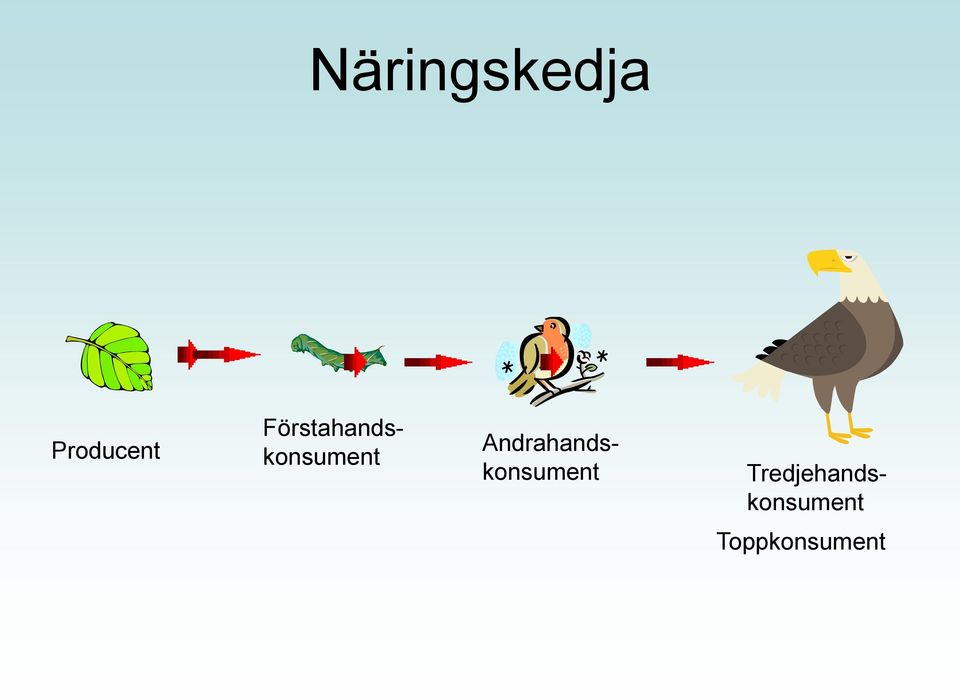 Andrahandskonsument