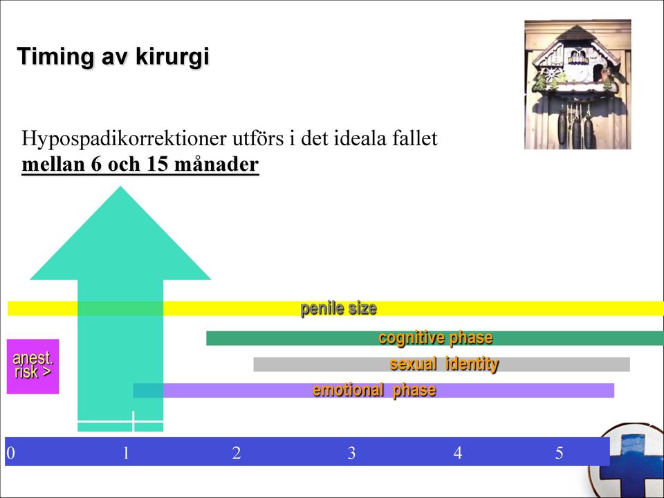 månader anest.