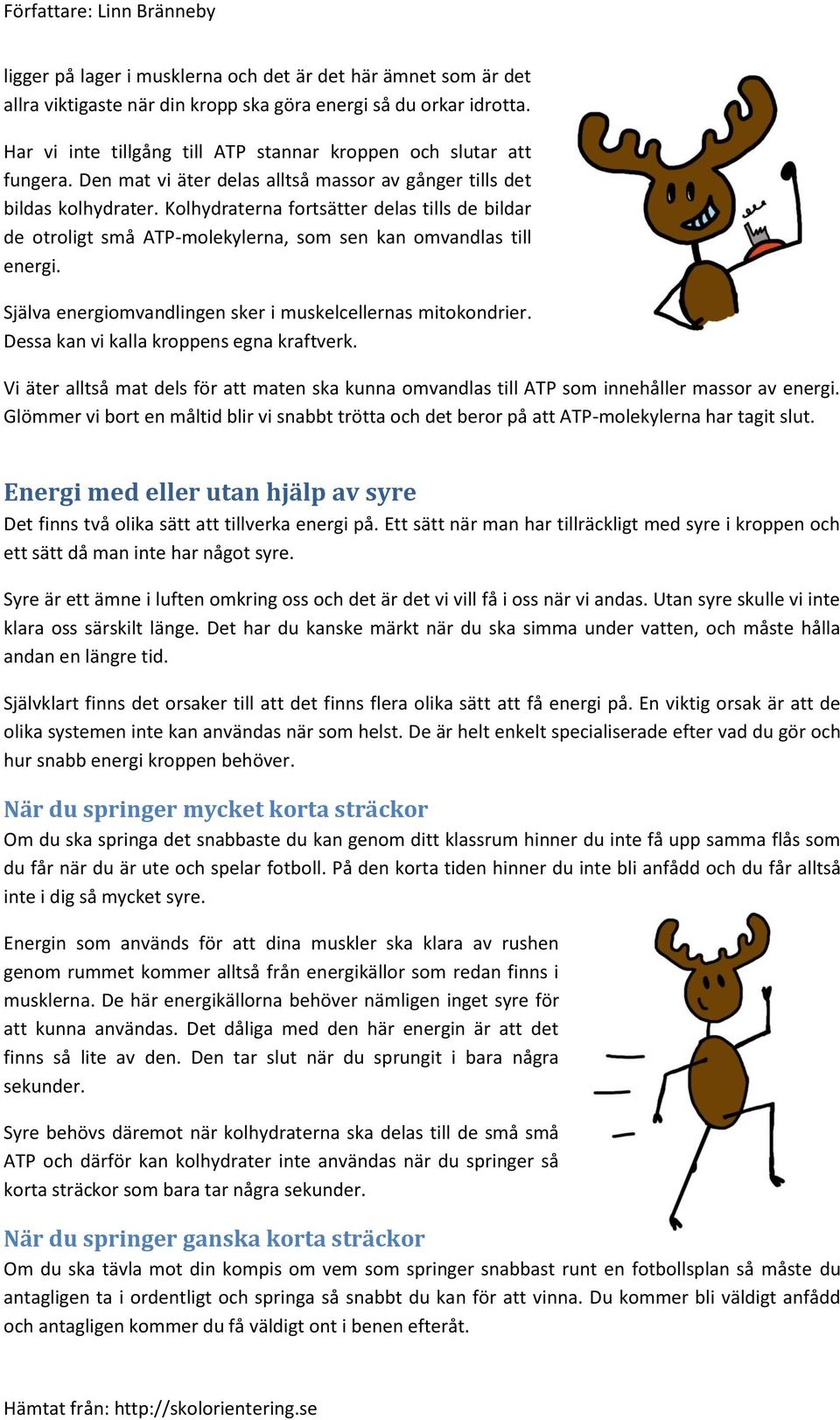 Kolhydraterna fortsätter delas tills de bildar de otroligt små ATP-molekylerna, som sen kan omvandlas till energi. Själva energiomvandlingen sker i muskelcellernas mitokondrier.