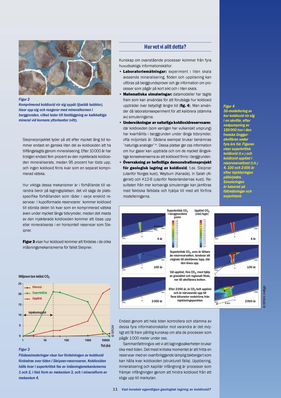 ytterkanter (vitt). Sleipnerprojektet tyder på att efter mycket lång tid kommer endast en ganska liten del av koldi oxiden att ha tillfångatagits genom mineralisering.