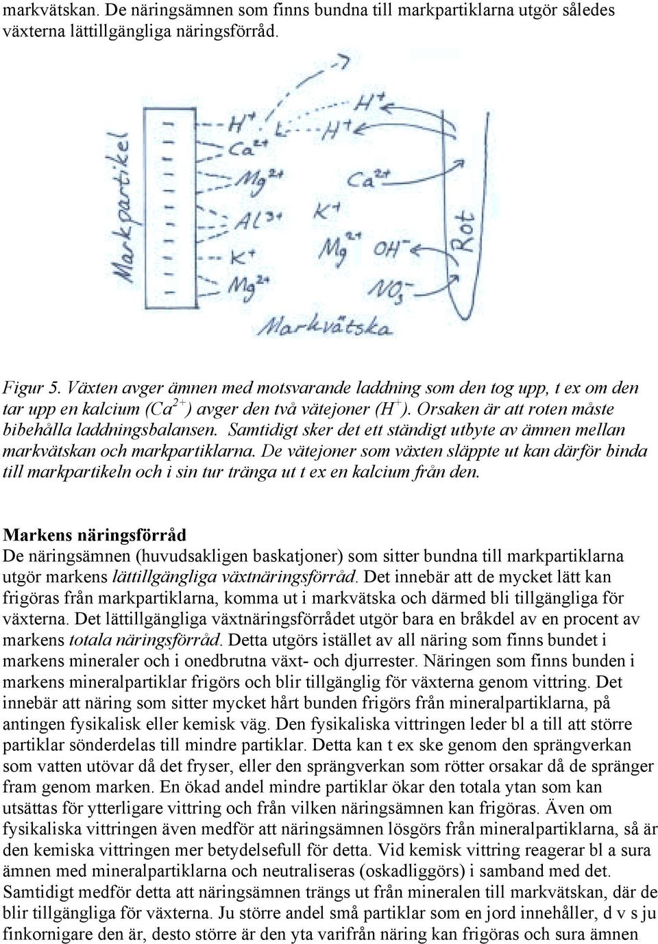 Samtidigt sker det ett ständigt utbyte av ämnen mellan markvätskan och markpartiklarna.