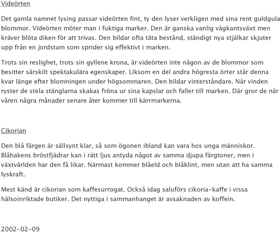 Trots sin reslighet, trots sin gyllene krona, är videörten inte någon av de blommor som besitter särskilt spektakulära egenskaper.