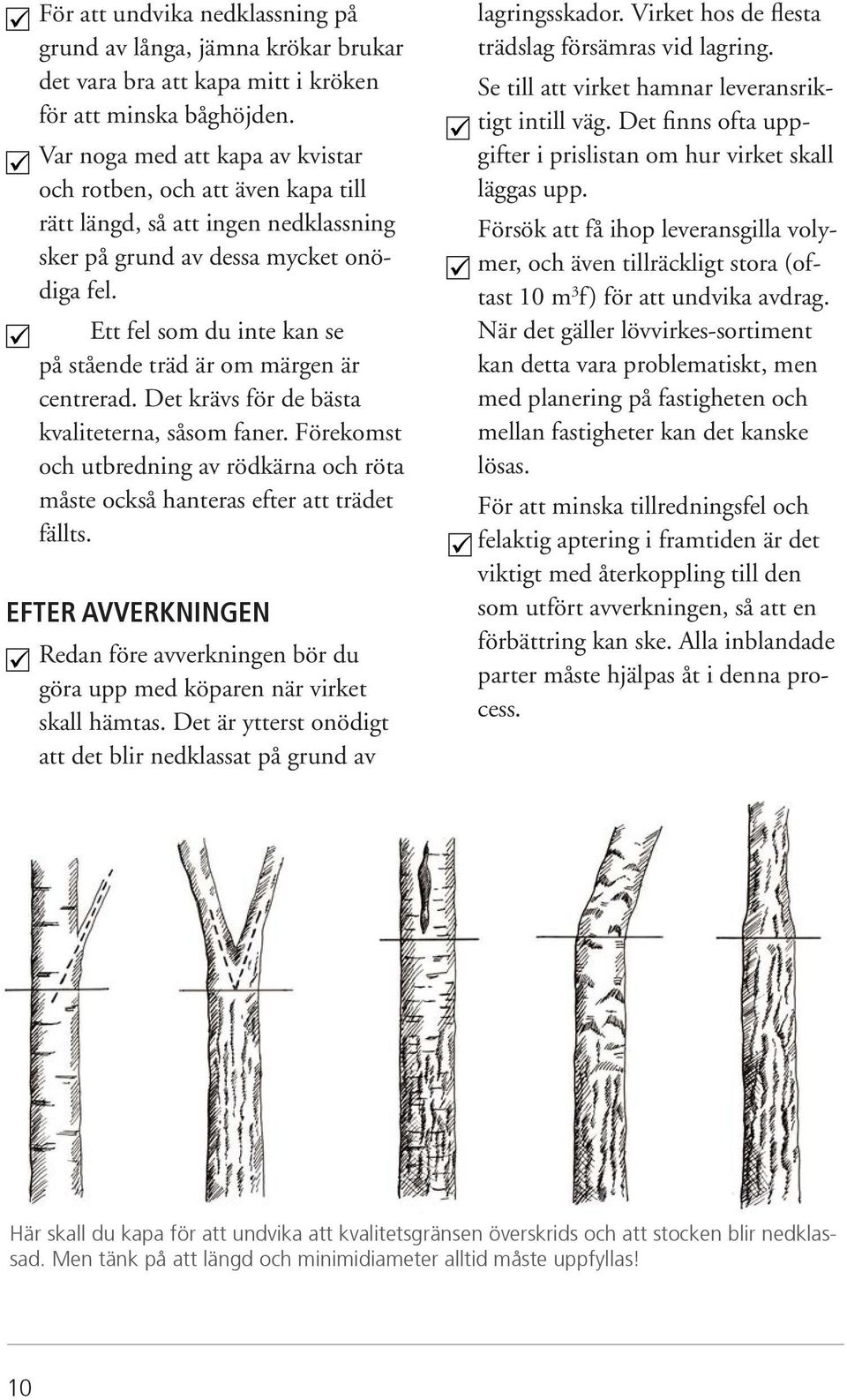 Ett fel som du inte kan se på stående träd är om märgen är centrerad. Det krävs för de bästa kvaliteterna, såsom faner.