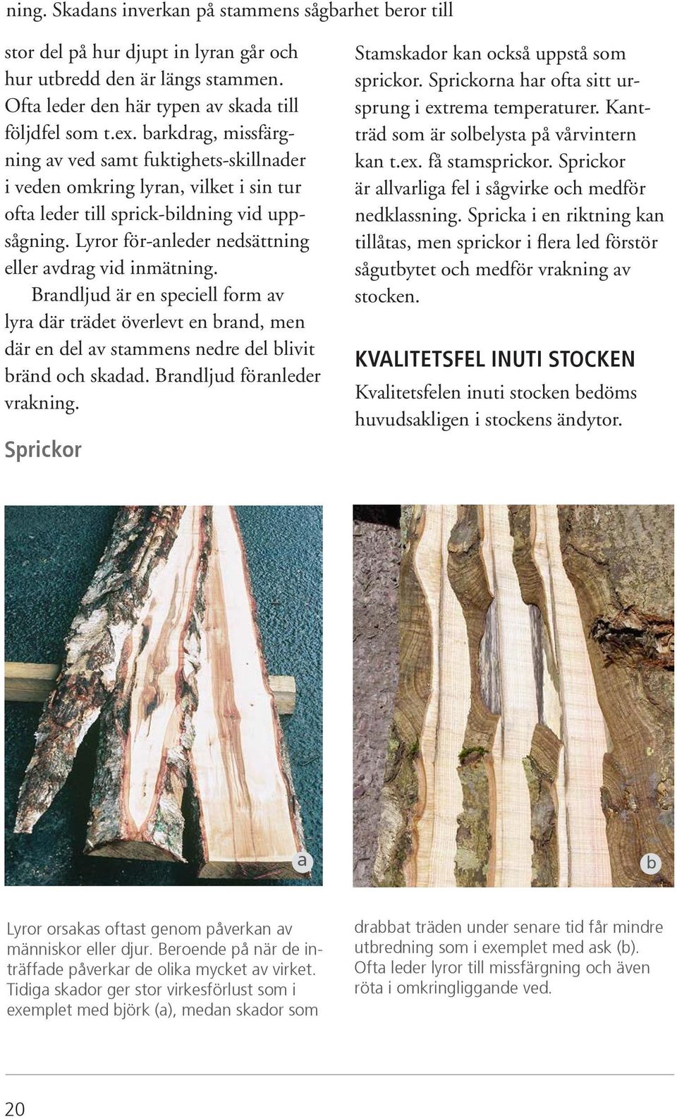 Lyror för-anleder nedsättning eller avdrag vid inmätning. Brandljud är en speciell form av lyra där trädet överlevt en brand, men där en del av stammens nedre del blivit bränd och skadad.