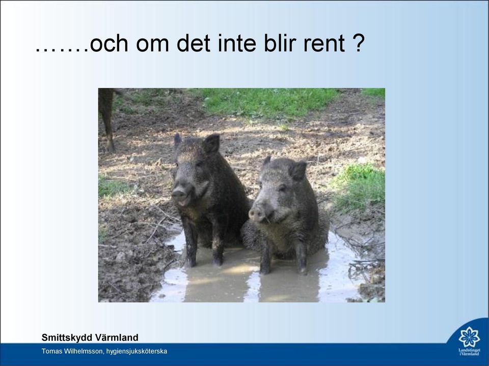 blir rent?