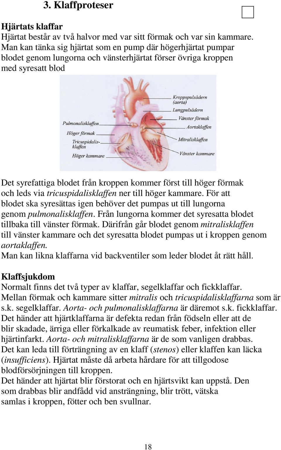 höger förmak och leds via tricuspidalisklaffen ner till höger kammare. För att blodet ska syresättas igen behöver det pumpas ut till lungorna genom pulmonalisklaffen.