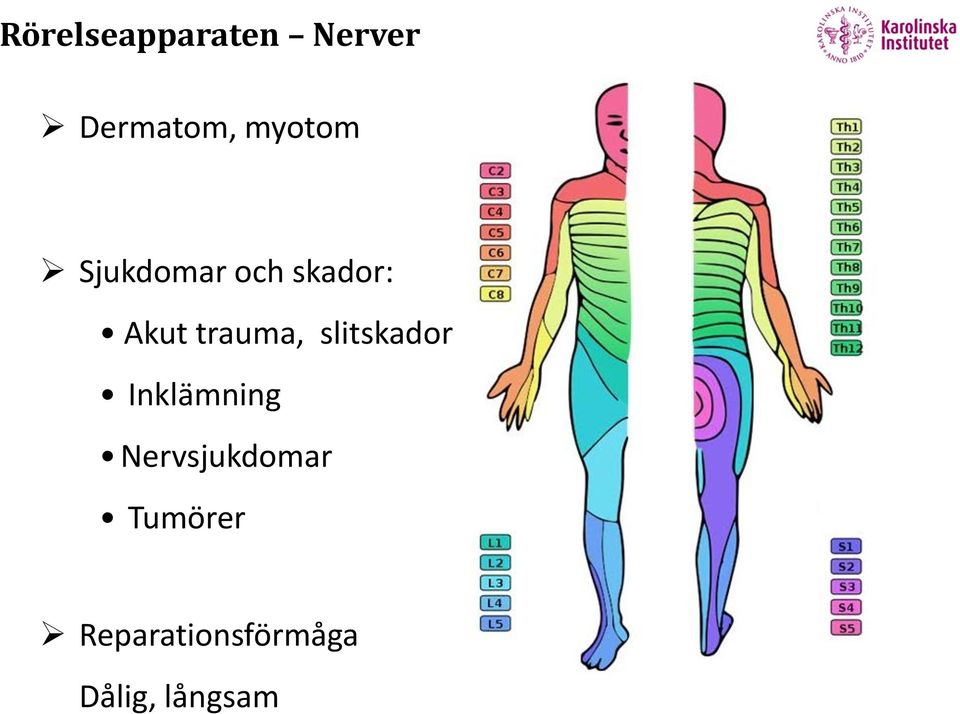 trauma, slitskador Inklämning