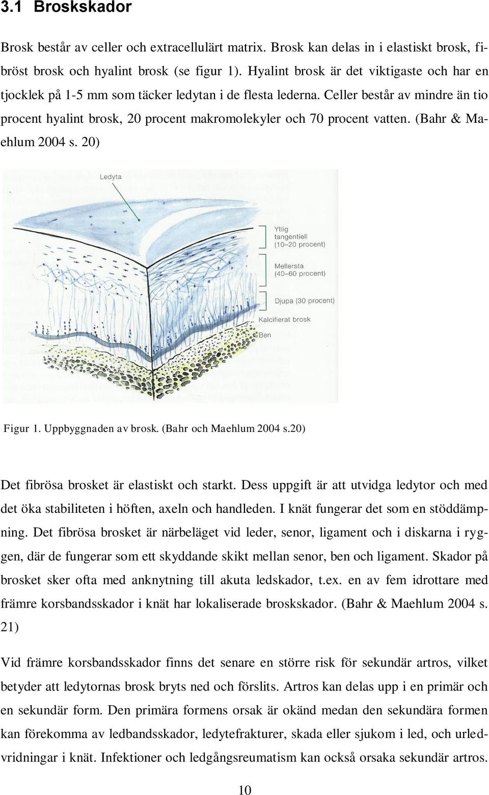 Celler består av mindre än tio procent hyalint brosk, 20 procent makromolekyler och 70 procent vatten. (Bahr & Maehlum 2004 s. 20) Figur 1. Uppbyggnaden av brosk. (Bahr och Maehlum 2004 s.